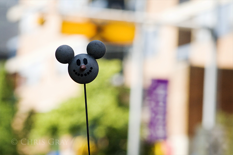 Antenna Ball On McCaul.jpg