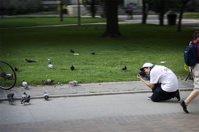 Be the Pigeon!.jpg