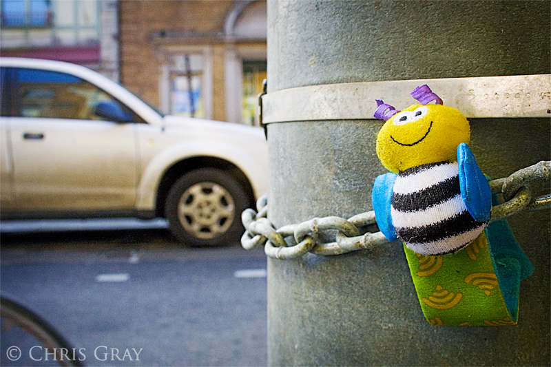 Bee on a Pole.jpg