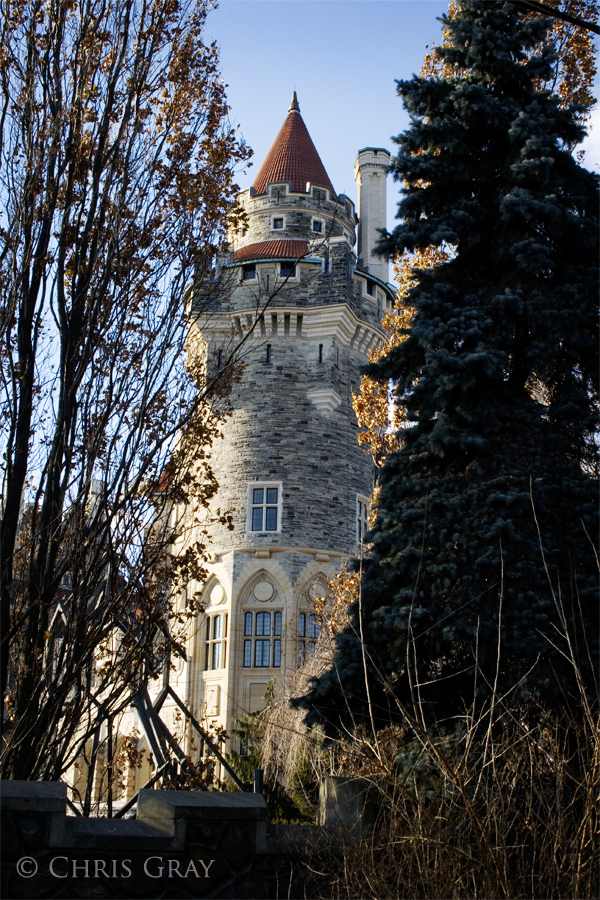 Casa Loma Through The Trees.jpg