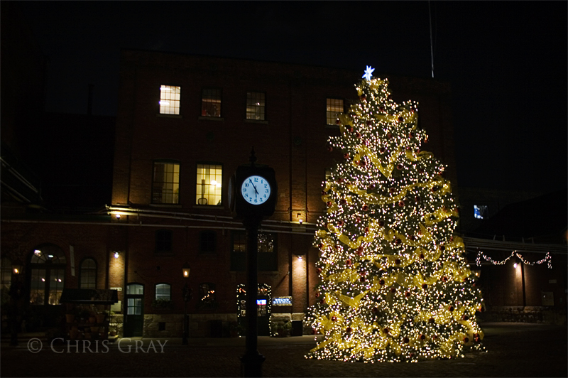 Distillery Christmas Tree.jpg