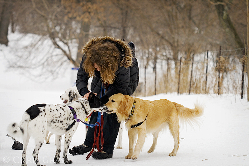 Dog Walking.jpg