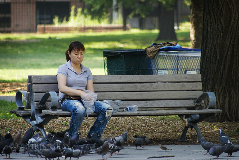 Feeding Pigeons.jpg