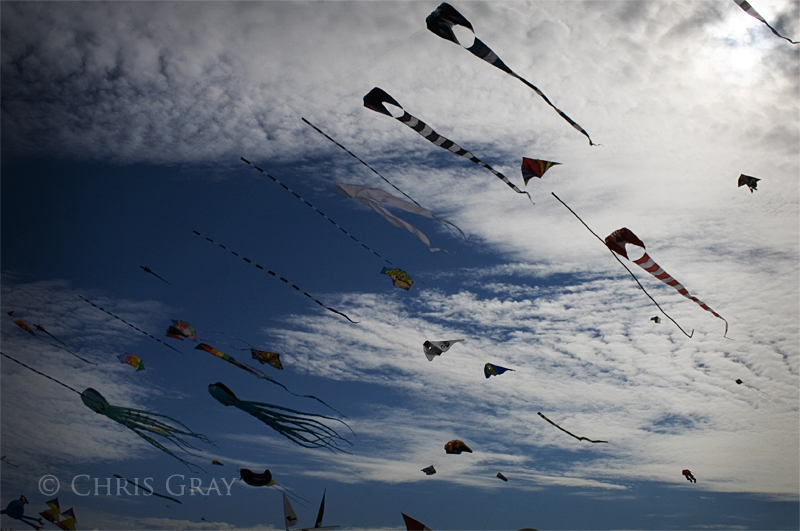 Kites.jpg