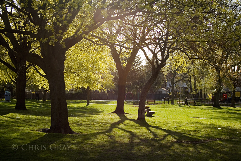 Morning in the Park.jpg