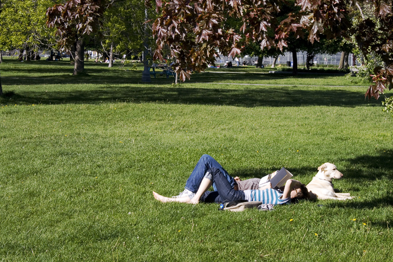 Relaxing in the Park.jpg