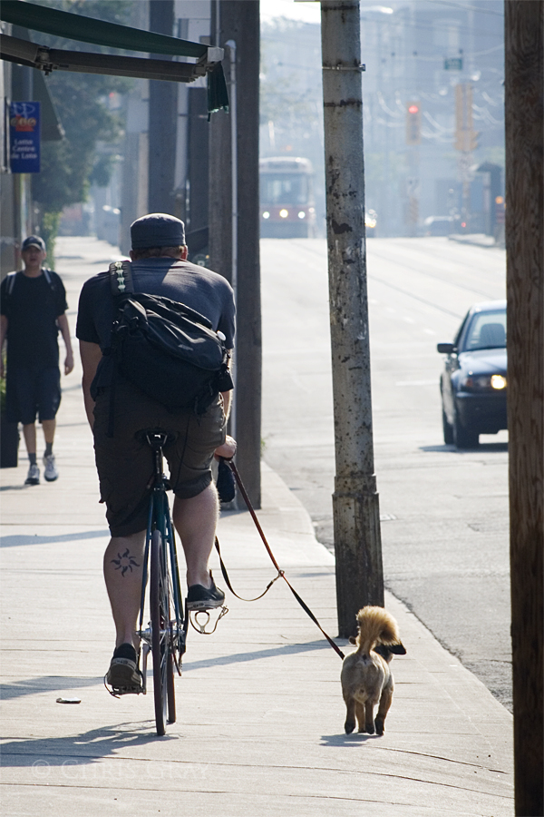 Walking the Dog on Queen East.jpg