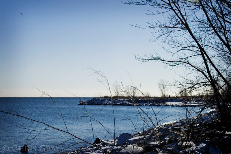 Winter at the Spit.jpg